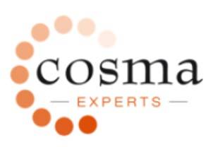 Optimisation des organisations paris Cosma Experts