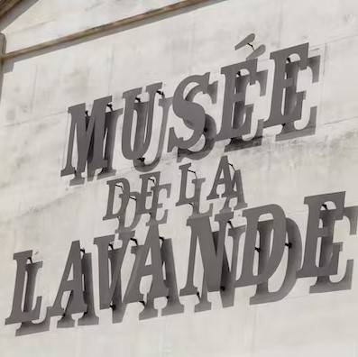 Animation et évènement autour de la lavande robion Le musée de la lavande