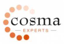 Optimisation des organisations paris Cosma Experts